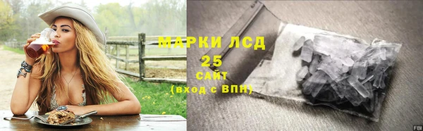 твердый Арсеньев
