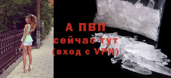 твердый Арсеньев