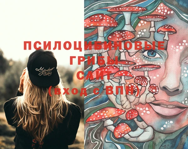 альфа пвп Армянск