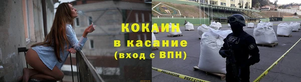 твердый Арсеньев