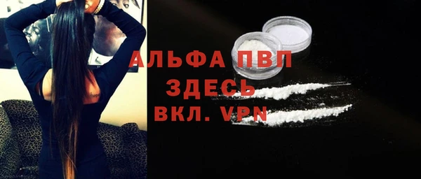 твердый Арсеньев