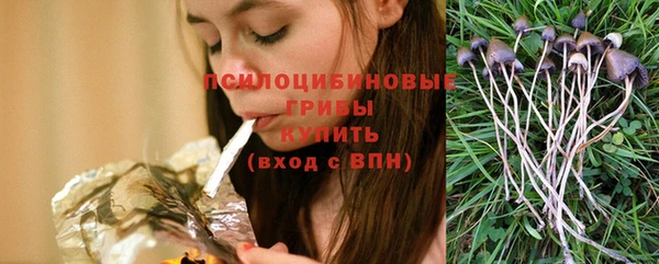 твердый Арсеньев