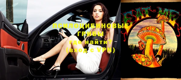 твердый Арсеньев